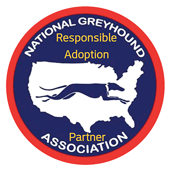NGA Adoption Partner